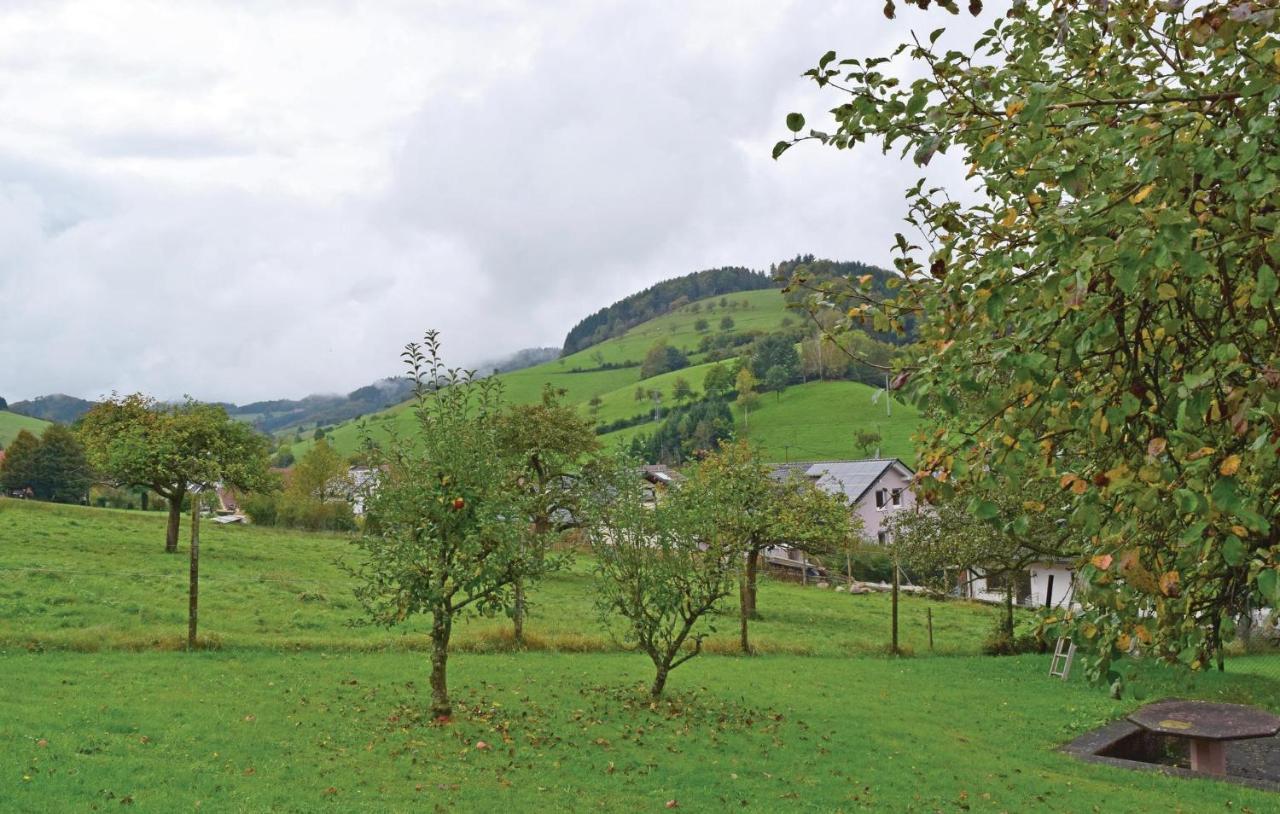 2 Bedroom Awesome Apartment In Welschensteinach 외부 사진
